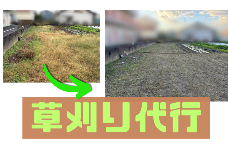 M様邸（津市）草刈り代行【暮らしの快適をサポート！株式会社NEXTクリエイト】