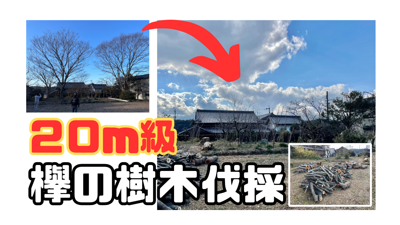 ダウンロード