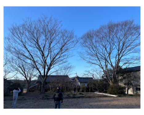 low_bg3