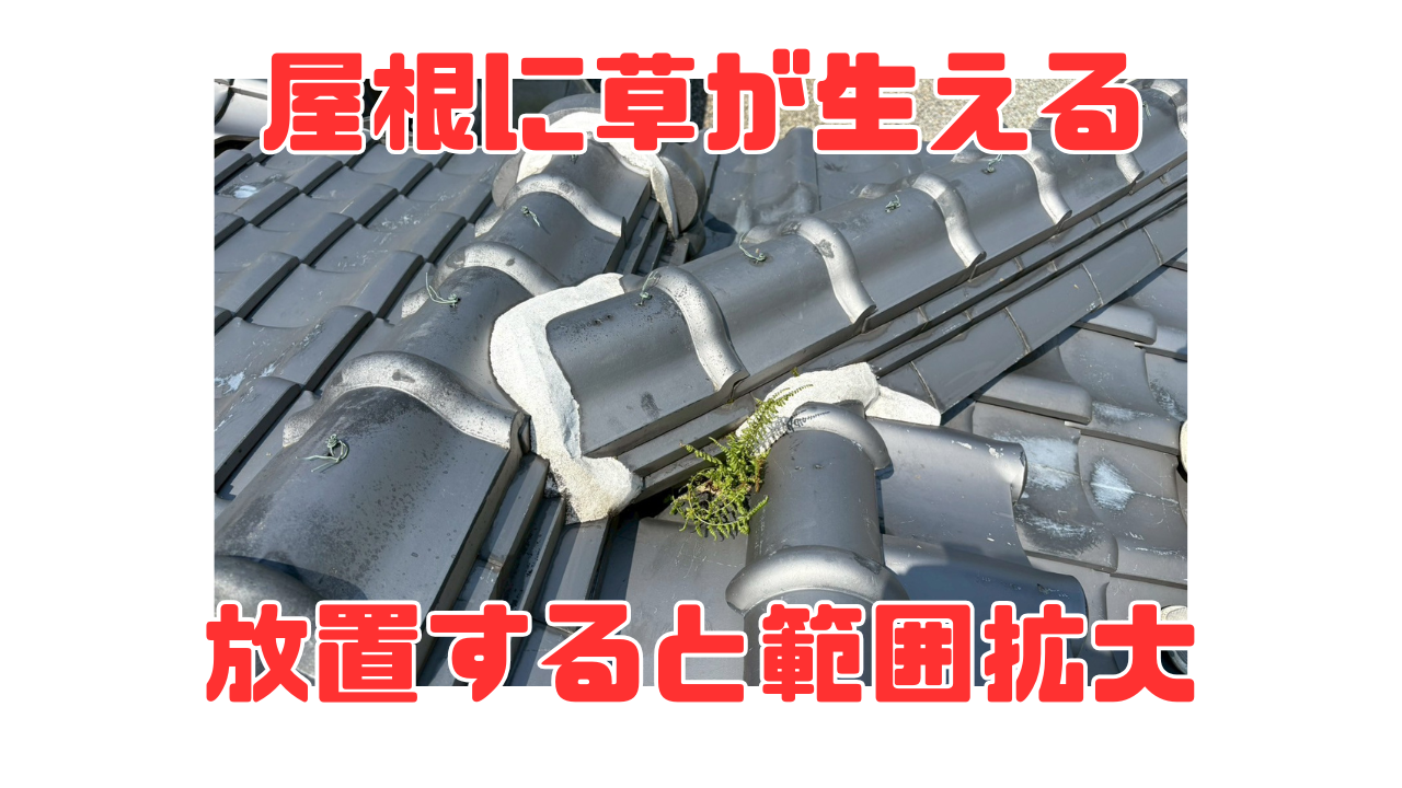 ダウンロード