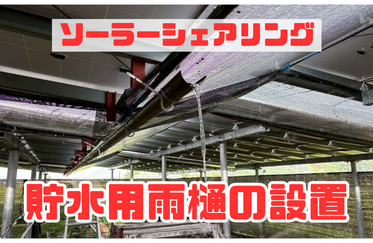 ソーラーシェアリングに貯水用雨樋の設置！！