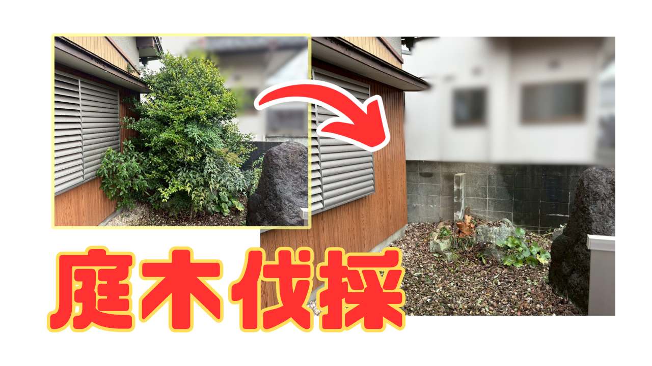 ダウンロード