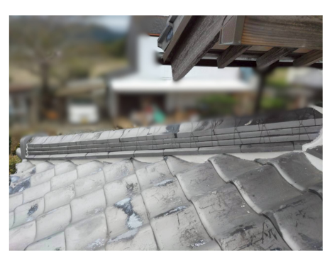 low_bg5