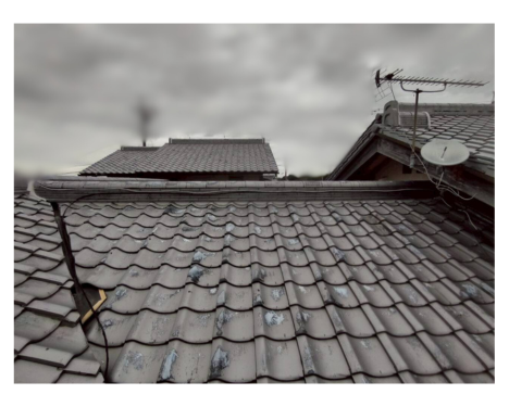 low_bg6