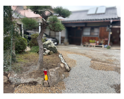 low_bg5