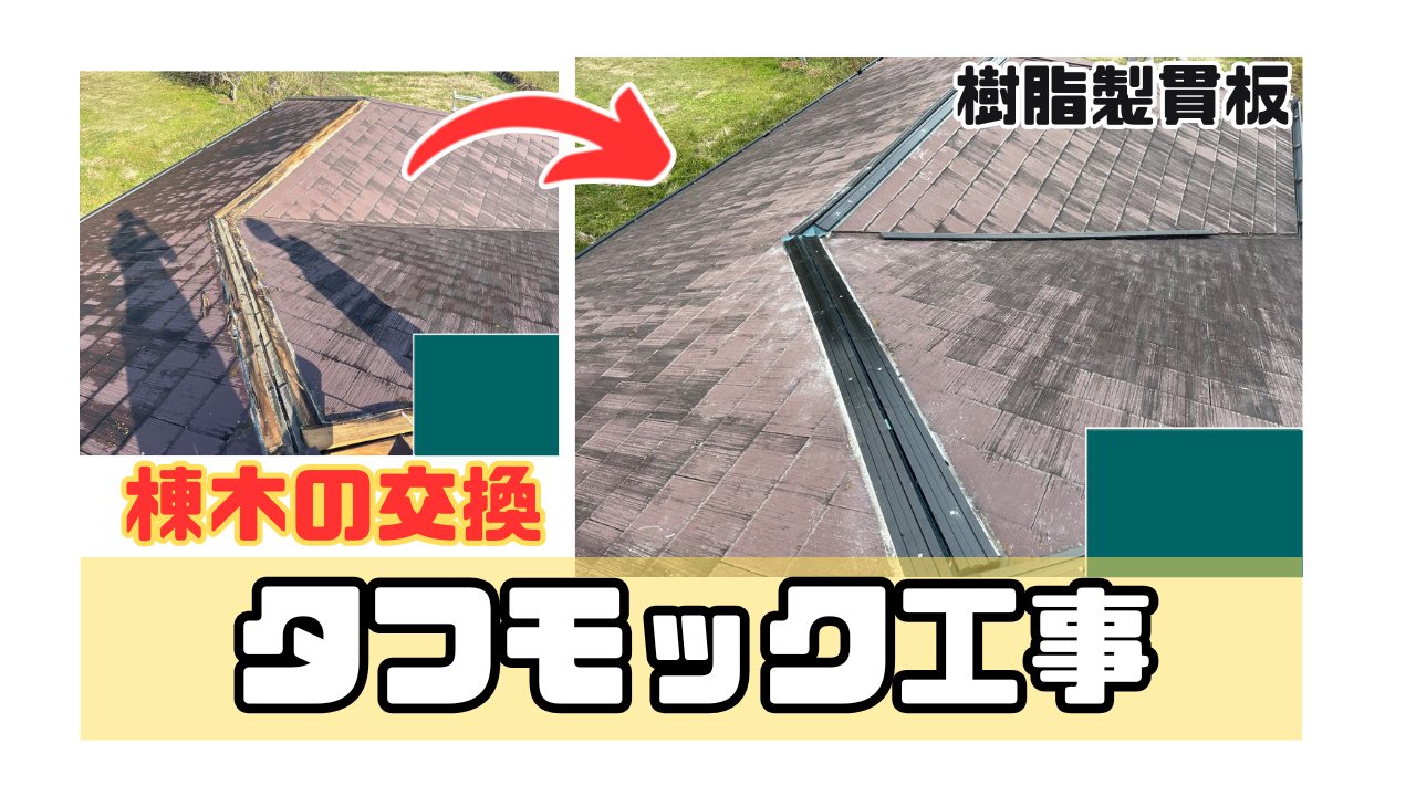 ダウンロード