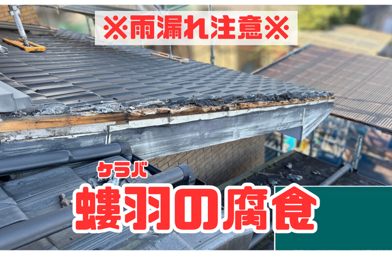 ケラバからの雨漏り