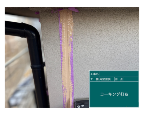low_bg5