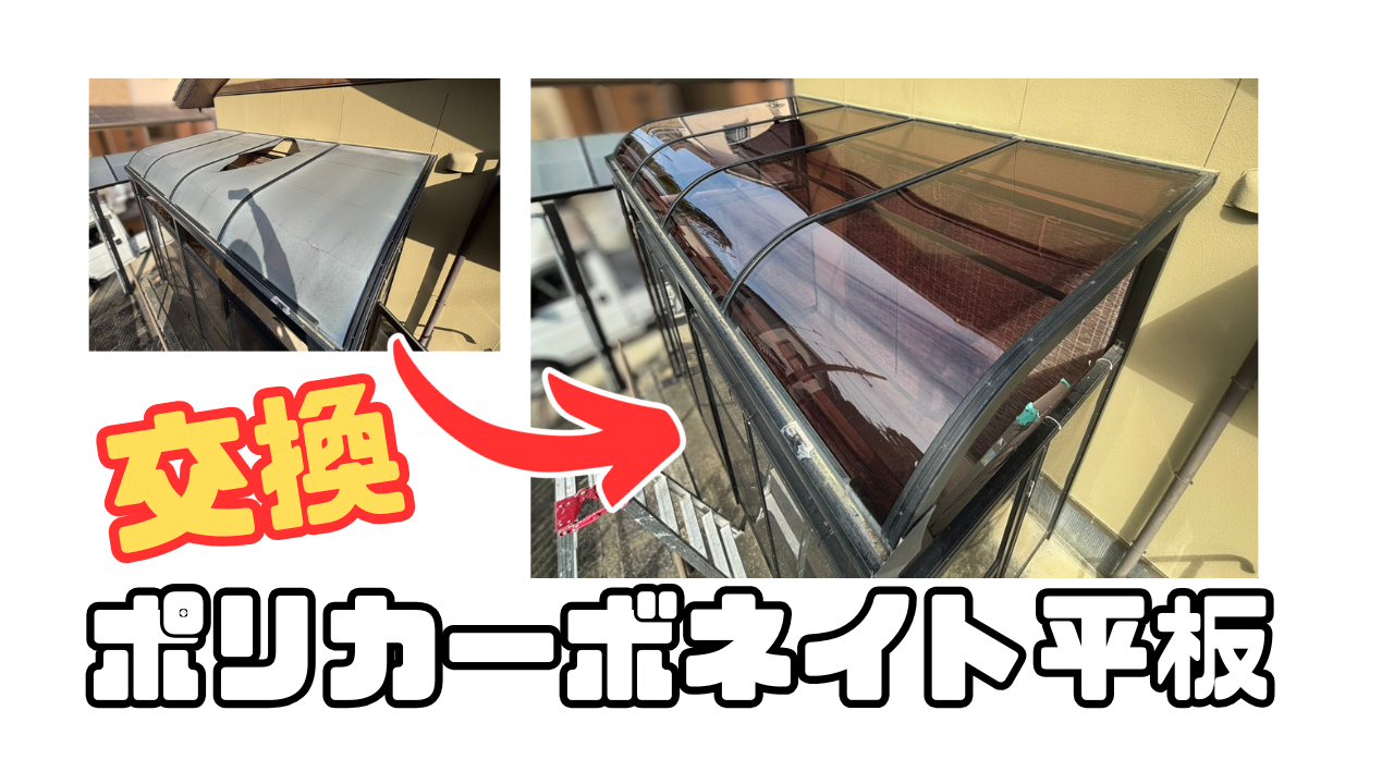 ダウンロード