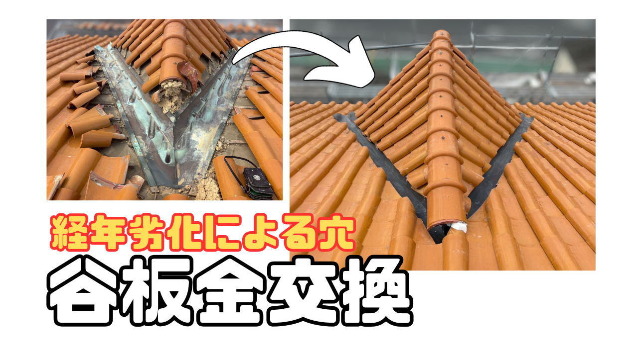 ダウンロード