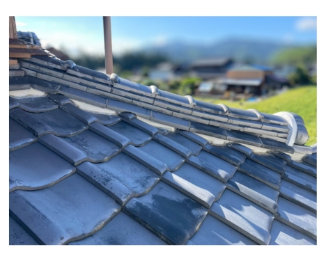low_bg5