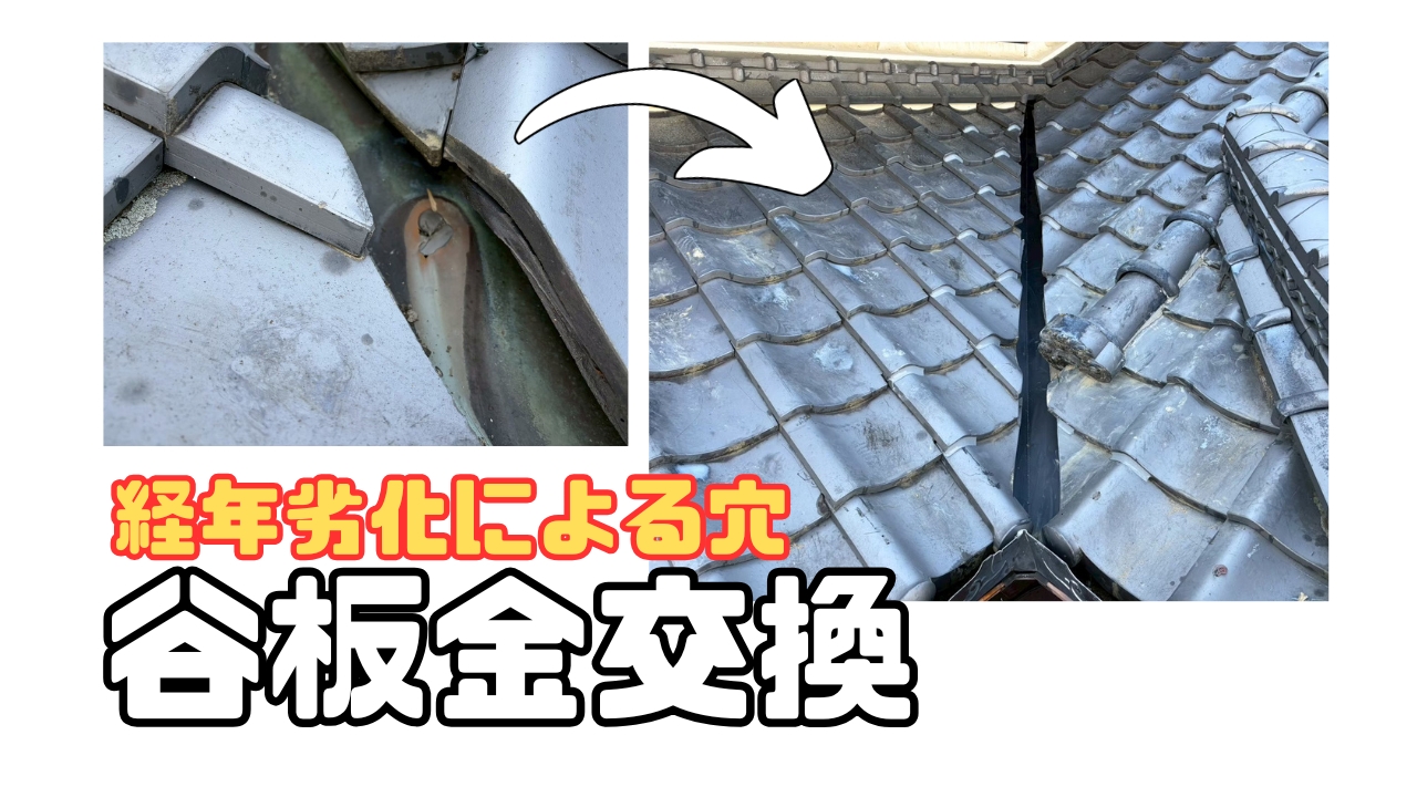 ダウンロード