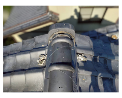 low_bg2