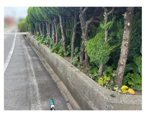 low_bg3