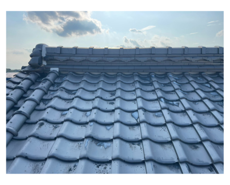 low_bg5