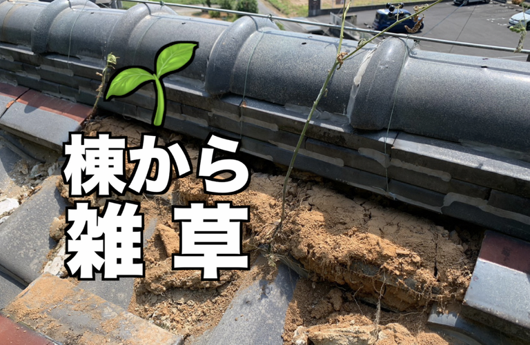 N様邸（津市）屋根漆喰施工【屋根修繕工事なら株式会社NEXTクリエイト】